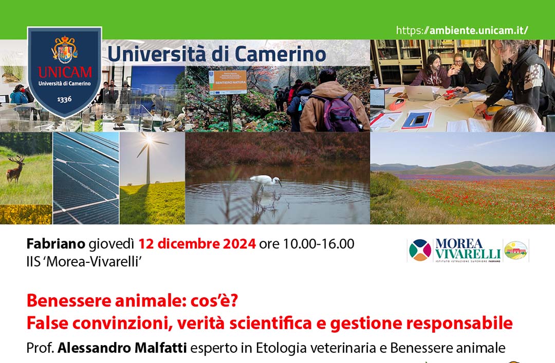 Immagine locandina