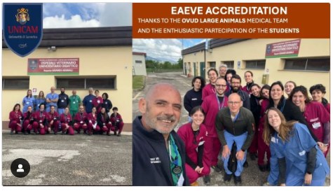 EAEVE Accreditation