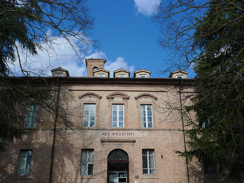 Polo di Medicina Veterinaria